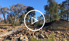LDR_Side_20231225